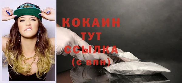 кокс Богородицк