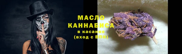 молекула духа Богородск