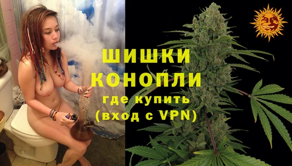 молекула духа Богородск